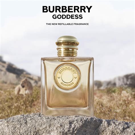 burberry goddess fragrantica|burberry goddess edp 50ml.